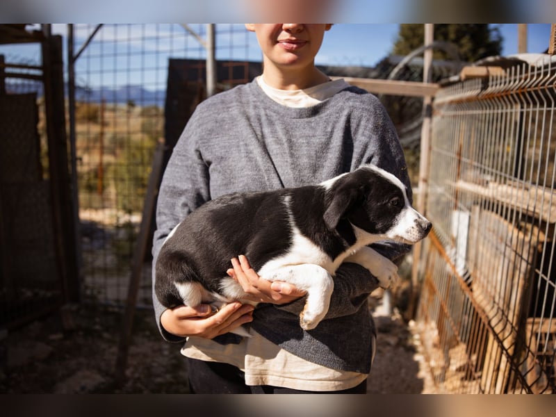 Kleine EMMY❤️ein zuckersüßes Energiebündel und voller Lebensfreude