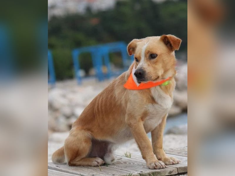 Kika & Max ❤️ gemeinsames Zuhause gesucht