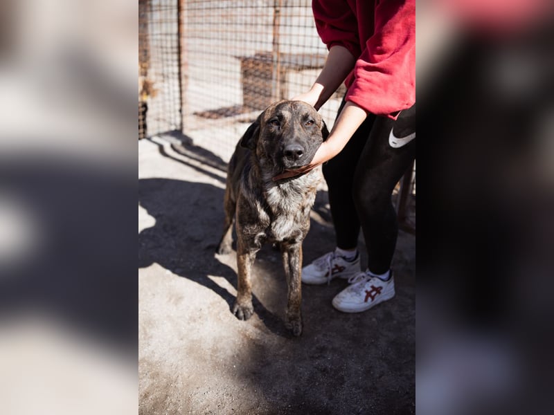 Ludwig ❤️ unser lieber Herzensbrecher Ludwig ❤️ unser lieber Herzensbrecher