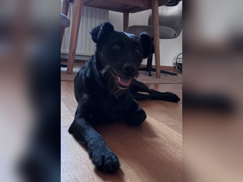Ebony ❤️ wartet in 51469 Bergisch Gladbach auf dich