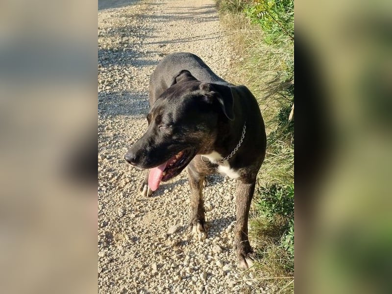 Goldige Godina | sozial,aktiv,lebensfroh 