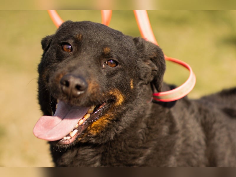 Aktiver Ares sucht seine aktiven Menschen
