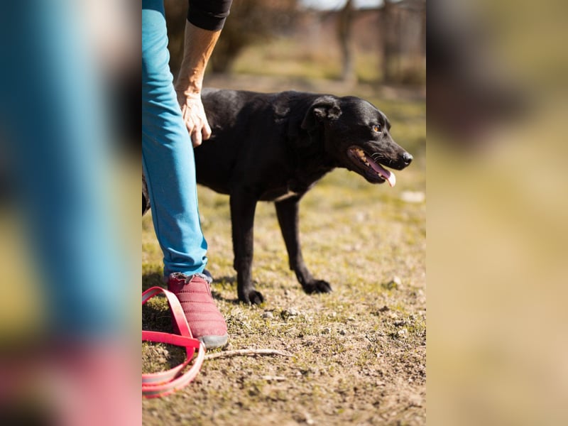 Coolio - wunderbar fröhlicher aktiver Bub