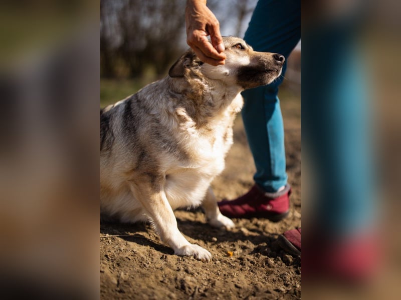Schöne ♥Sibilla♥ sanft und freundlich