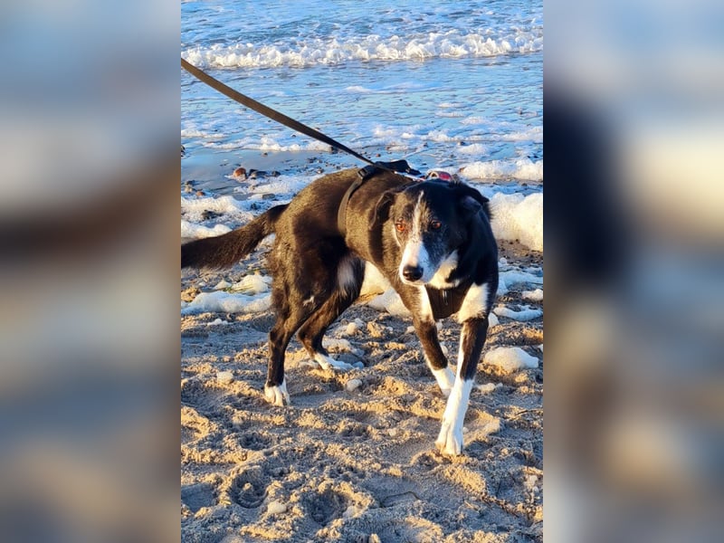 Genießerschnute ♥Mona♥ wartet bereits in 01640 Coswig auf dich/euch