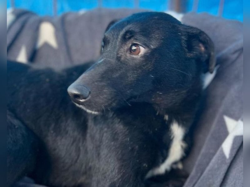 PINA❤️liebe, soziale Schönheit mit Charakter