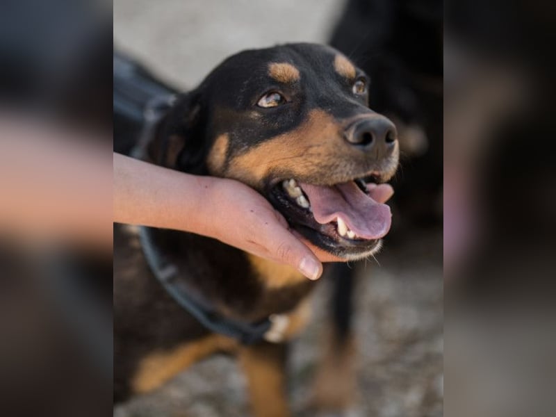 Mico ❤️ aufgeschlossen & verkuschelt!