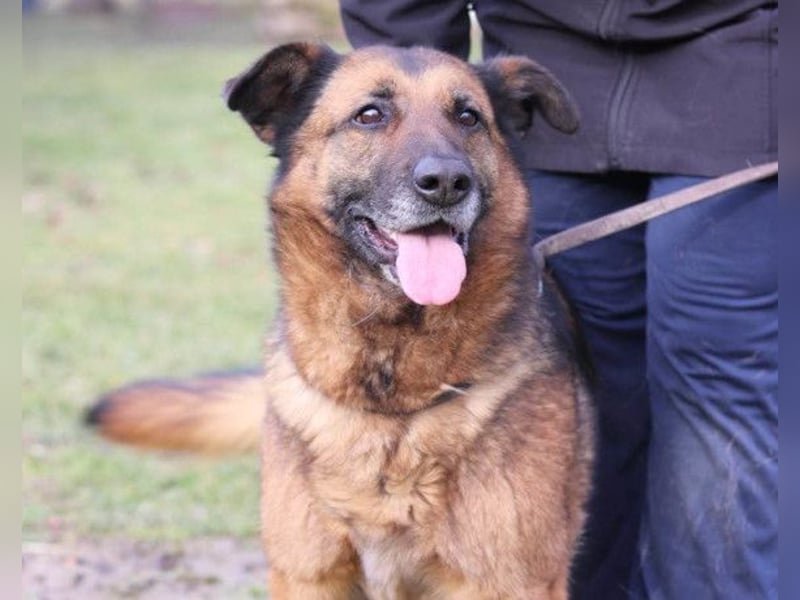 Einzelprinzessin Edna ❤️ sucht ihr Körbchen