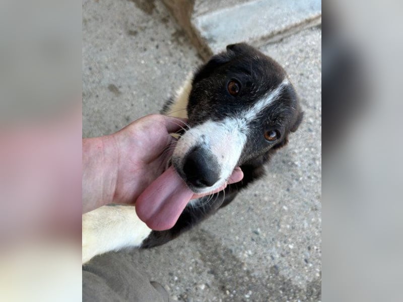 Genießerschnute ♥Mona♥ wartet bereits in 01640 Coswig auf dich/euch