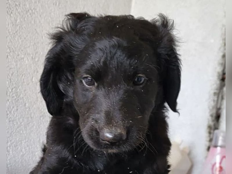 Yuki ❤️ froher, aufgeschlossener junger Bub!