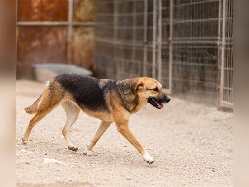 Bezaubernde Sersi wartet auf dich!