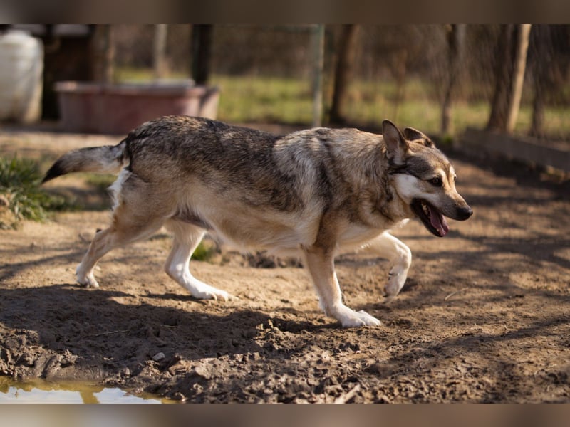 Schöne ♥Sibilla♥ sanft und freundlich