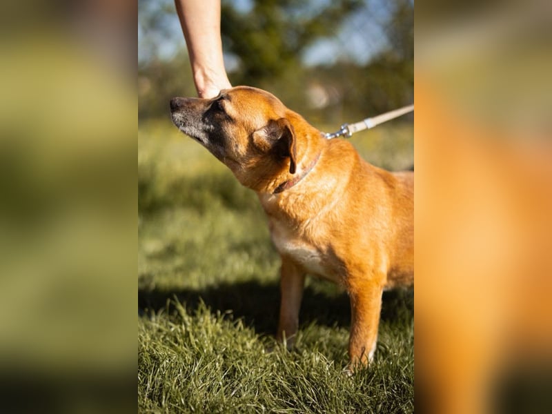 Liebste ♥Senka♥ mit einem großen Herzen