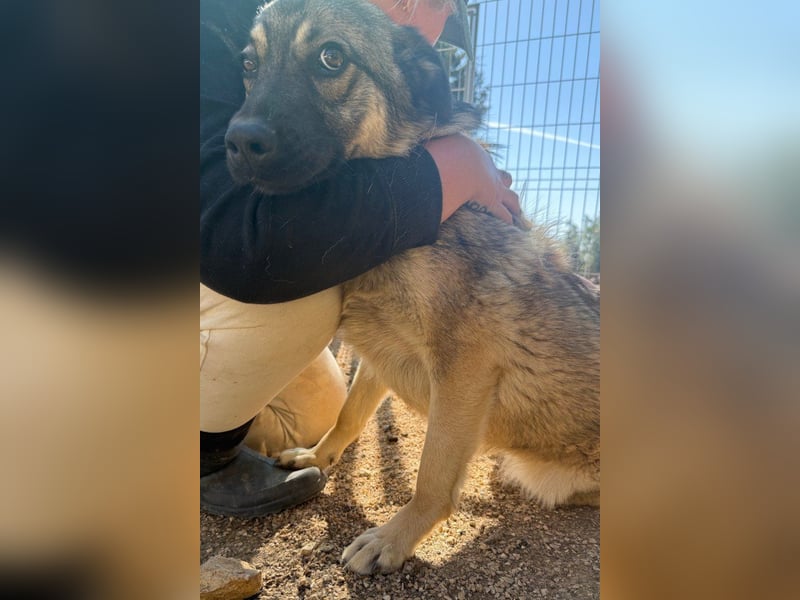 COCO❤️verspielt, sanft und voller Vertrauen: ein Herz für Groß und Klein!