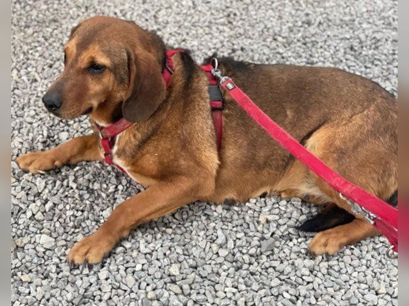 Mama Reina: pures Fellherz aus Liebe