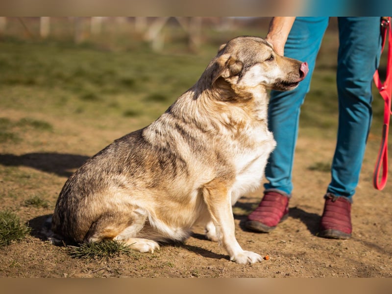 Schöne ♥Sibilla♥ sanft und freundlich