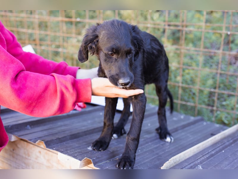 Mila ❤️ so süßes + lebensfrohes Mädchen!