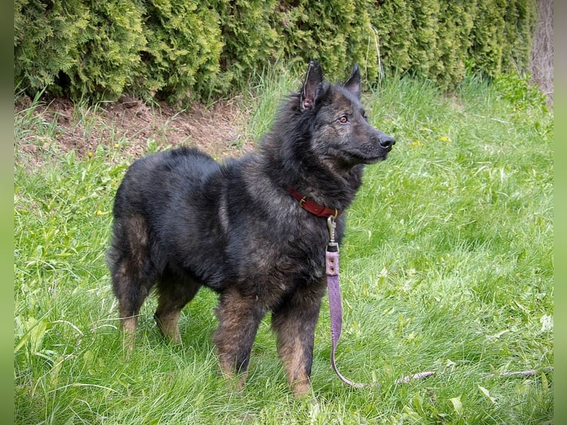 Freundlicher Baron sucht seine Familie