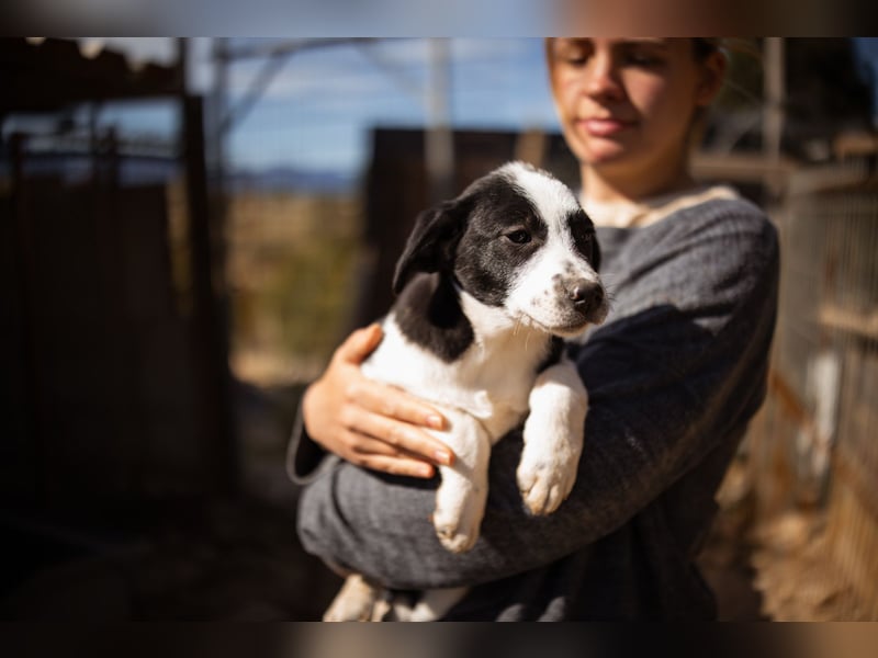 Kleine EMMY❤️ein zuckersüßes Energiebündel und voller Lebensfreude