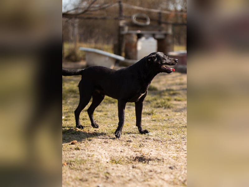 Coolio - wunderbar fröhlicher aktiver Bub