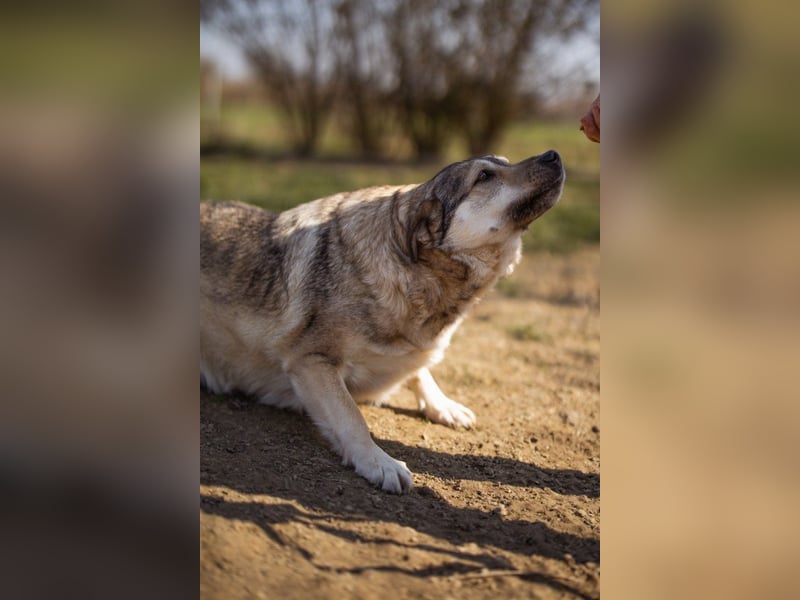 Schöne ♥Sibilla♥ sanft und freundlich