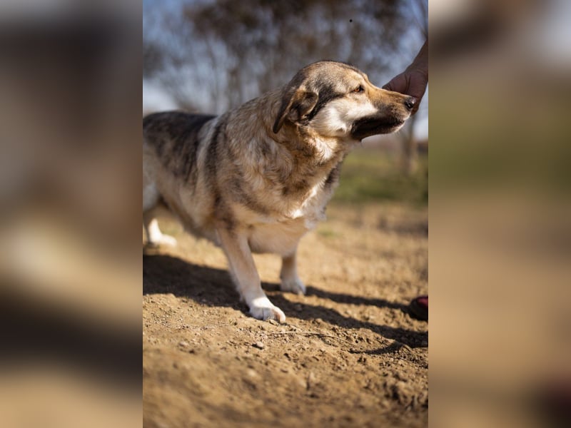 Schöne ♥Sibilla♥ sanft und freundlich