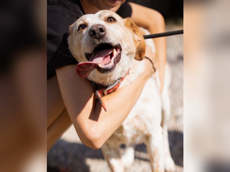 Lucy ❤️ liebe + gutmütige Zuckerschnute