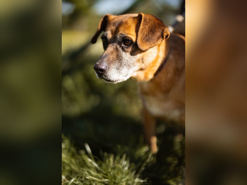 Liebste ♥Senka♥ mit einem großen Herzen