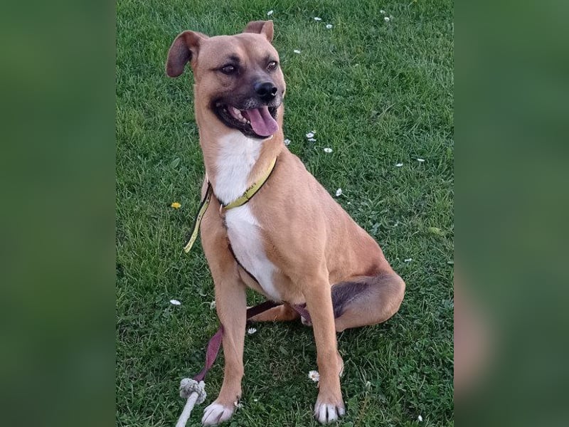 Teddy  wartet schon so lange!