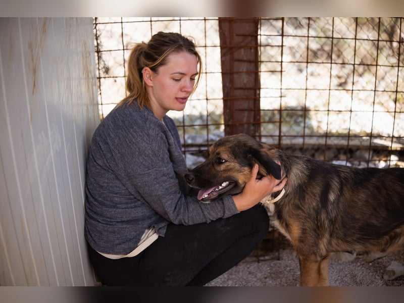 Jacky ❤️ junge Traumhündin sucht Zuhause