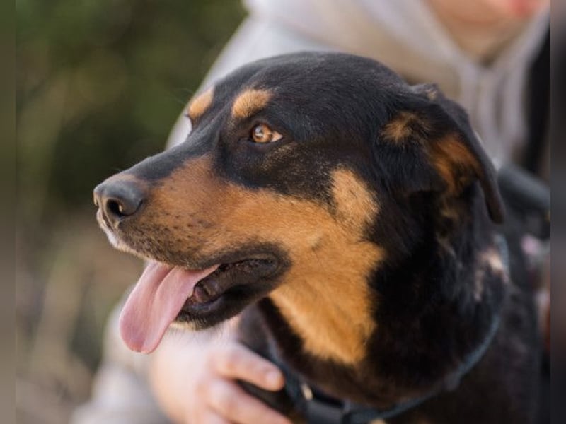 Mico ❤️ aufgeschlossen & verkuschelt!