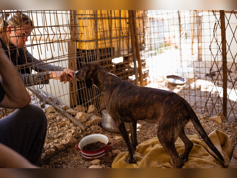 Lieber Baileys ❤️ hübscher, sensibler Bub!