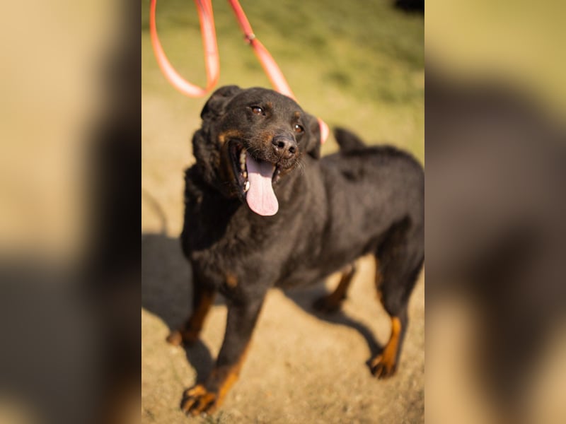 Aktiver ♥Ares♥ sucht aktive Menschen