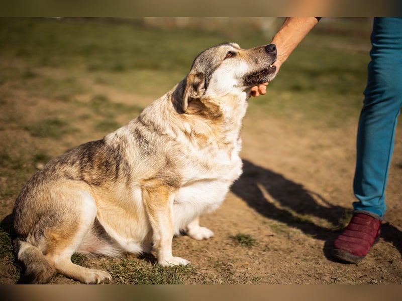 Schöne ♥Sibilla♥ sanft und freundlich