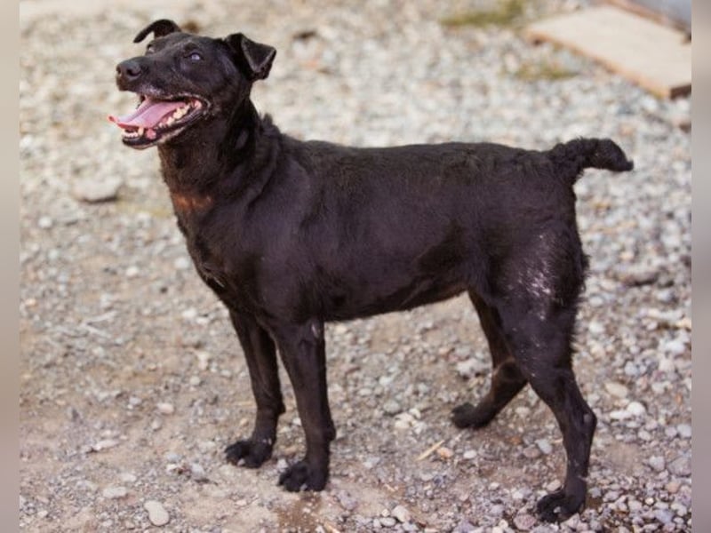 Hana ❤️ wundervolle, liebe Zuckerschnute