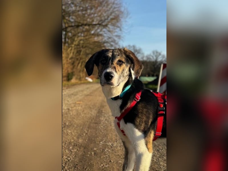 Zauberhafte Bini sucht ihre Menschen