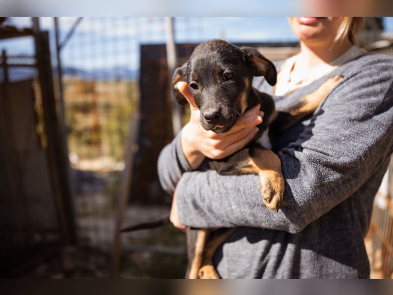 Jonas ❤️ fröhlicher + lebensfroher Schatz!