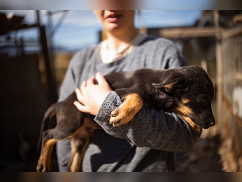 Jonas ❤️ fröhlicher + lebensfroher Schatz!