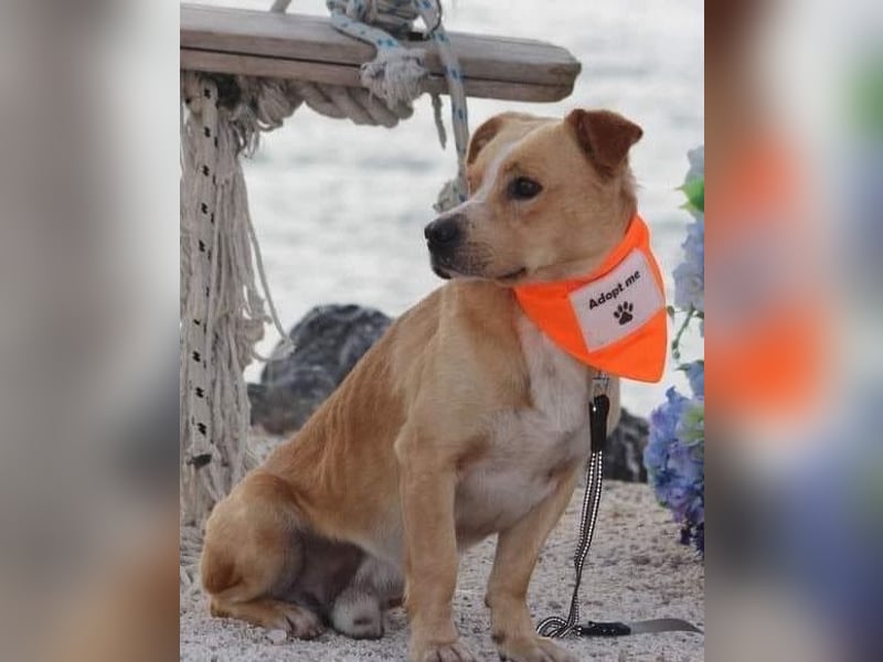 Kika & Max ❤️ gemeinsames Zuhause gesucht