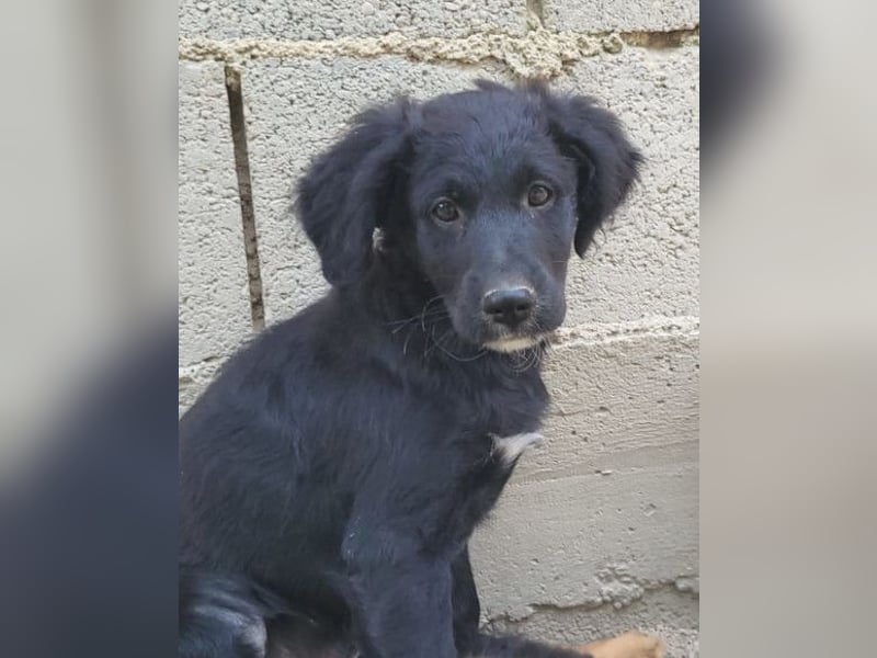 Mila ❤️ so süßes + lebensfrohes Mädchen!