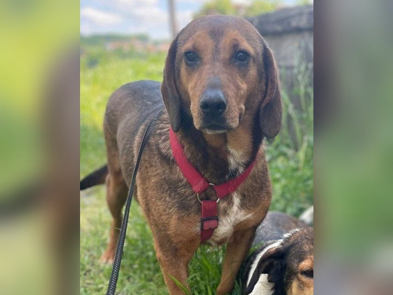 Mama Reina: pures Fellherz aus Liebe