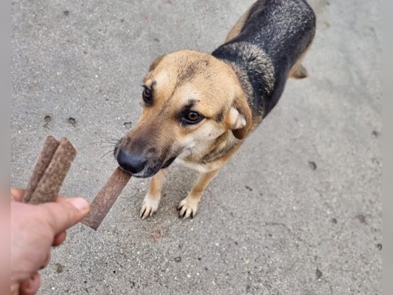 Bezaubernde Sersi wartet auf Dich!