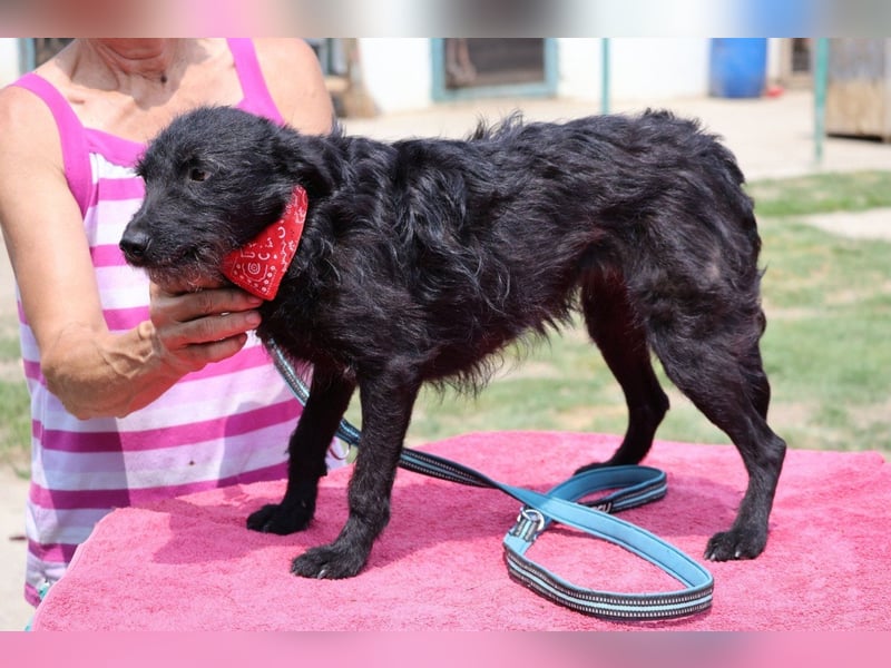 Sanfte ♥Arca♥ sucht Schutz & Liebe so verdient