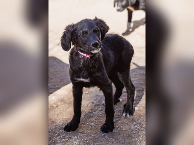 Mila ❤️ so süßes + lebensfrohes Mädchen!