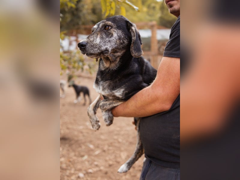 GINA❤️fröhliche, liebevolle und verspielte Flitzpiepe