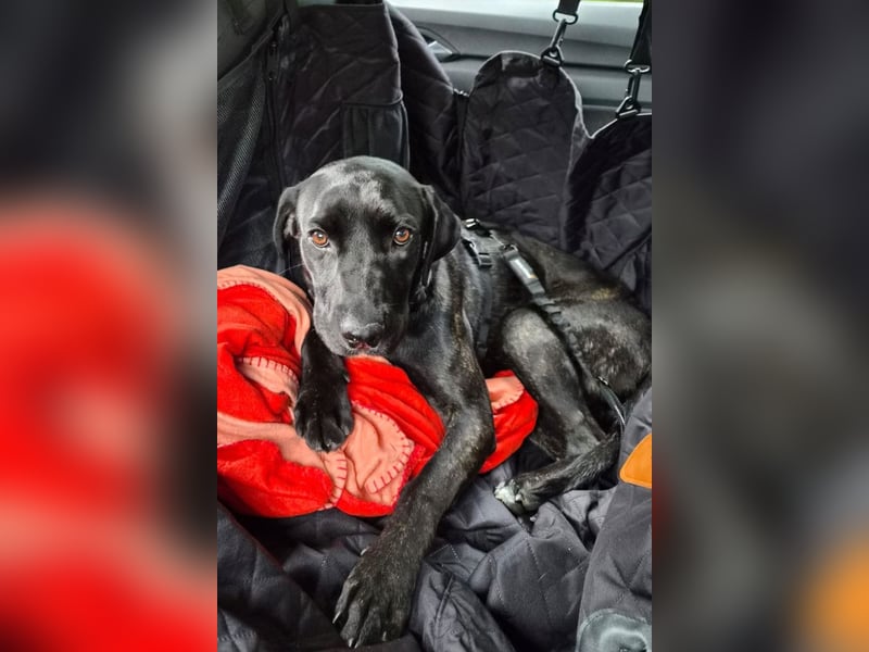 Mika ❤️ wartet in 27419 Klein Meckelsen auf deinen Besuch
