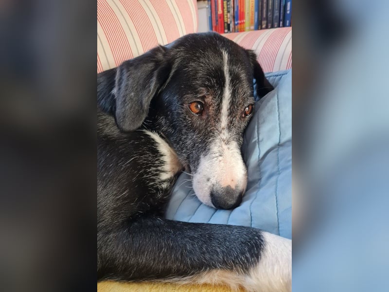 Genießerschnute ♥Mona♥ wartet bereits in 01640 Coswig auf dich/euch