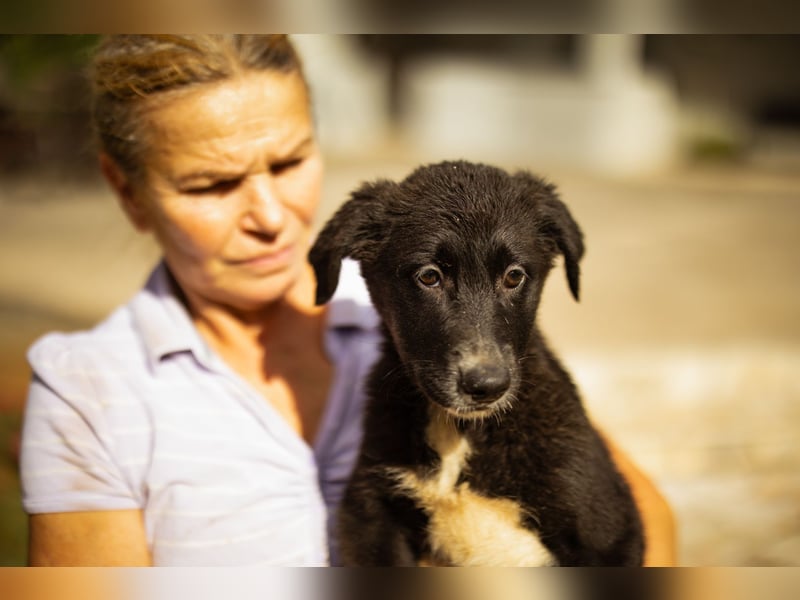 Taya ❤️ frohes, neugieriges Welpenmädl