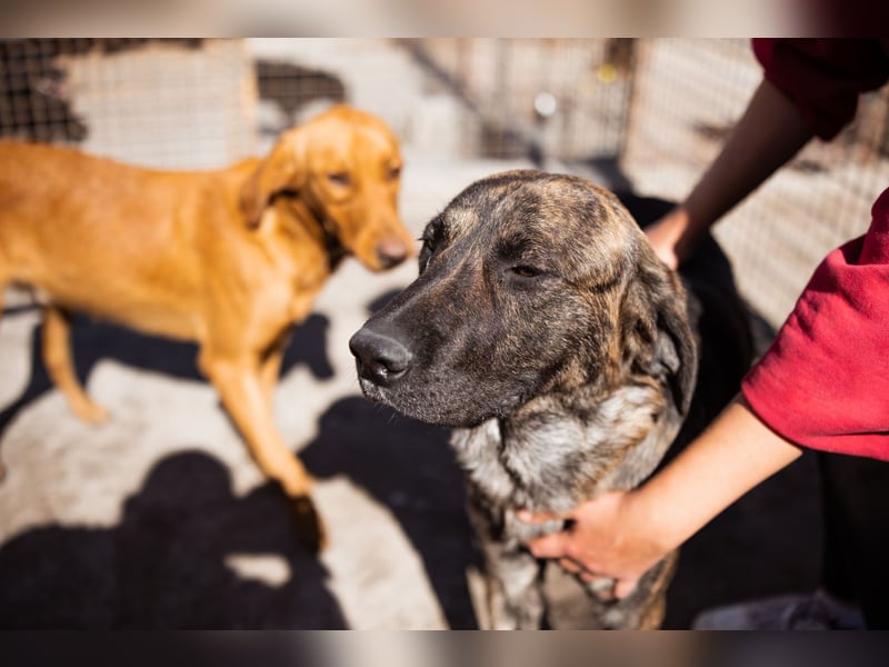 Ludwig ❤️ unser lieber Herzensbrecher Ludwig ❤️ unser lieber Herzensbrecher