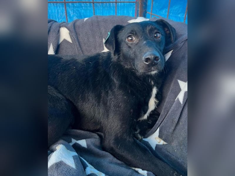 PINA❤️liebe, soziale Schönheit mit Charakter